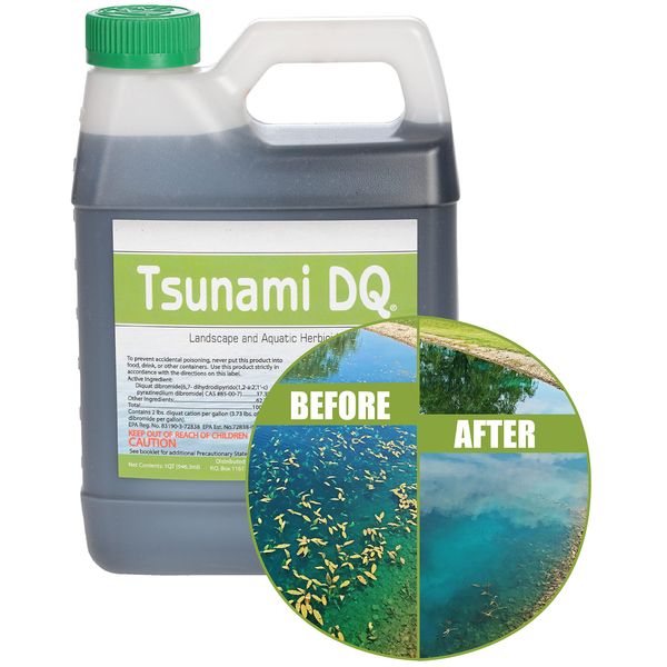 Tsunami DQ Aquatic Herbicide- Quart - 37.3 Percent Diquat Dibromide – Concentrated Aquatic Weed Killer for Lakes and Ponds - Duckweed, Watermeal, Curly Leaf, Pondweed & Many More