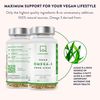 High Strength Vegan Omega 3 Capsules - 1500mg - 600mg DHA and 300mg EPA per Daily dose of 3 Capsules - 90 Omega 3 Vegan - from Sustainable Plant-Based Algae Oil