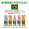 Shouyo EX Medicated Toothpaste, Prevents Pyorrhea, Japanese Chinese Herb Flavor, 3.5 oz (100 g), Quasi-Drug