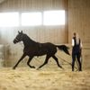 HORZE Lunging Surcingle for Horses | Nylon Roller for Training - Black - Pony