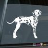 Mister Petlife Dalmatian Sticker Vinyl Auto Window dal