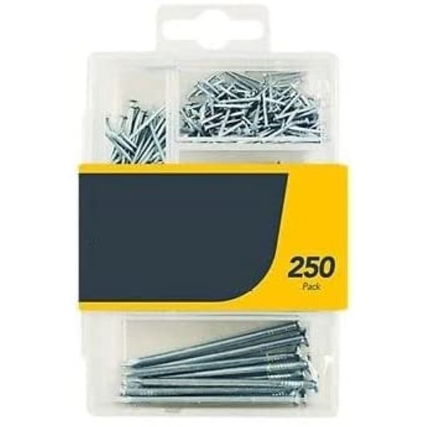 TRTO 250 Assorted Nails Pack Zinc Plated Flat Head DIY Hammer Different Size