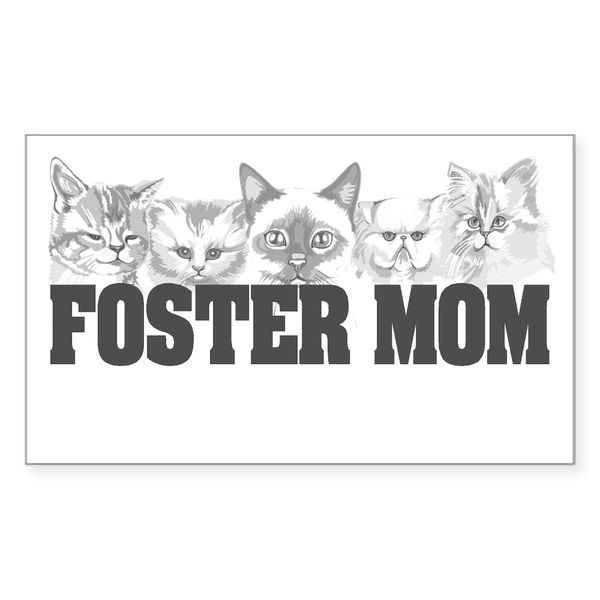 CafePress Foster Mom (Cats) Rectangle Sticker Rectangle Bumper Sticker Car Decal