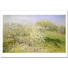 Of The World Masterpiece Monet Spring Spring Giclee Fine Poster