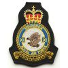 RAF No.11 Close Air Squadron Royal Air Force Military Embroidered Patch
