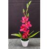 Cute little Artificial Vanda Orchid in white pot  RUBY RED