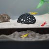 CTWPets Shrimp Breeding Protection Set, 3-Pack Bundle with Hide Dome, Half Protector, Breeding Protector (Light Brown)