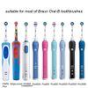 Nincha Portable Replacement Plastic Electric Toothbrush Travel Case for Oral-B Pro Series (Blue)