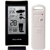 Chaney Instrument 2045 Weather Forecaster