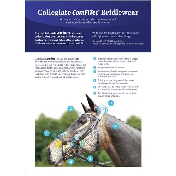 Collegiate ComFiTec Training Bridle, Brown, Pony