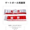 Kokusai KS-100 Gate Ball Supplies, Director's Chapter