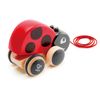 Hape Ladybug Pull Along,Red and Black