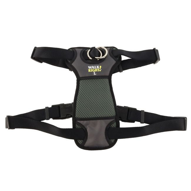 Coastal Pet Walk Right Front-Connect No-Pull Padded Dog Harness - Adjustable Dog Harness - Small & Large Dog Harness - Comfortable Harness for Dogs - Quality Dog Supplies - Black, 26-38"