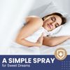 Sweet Dreams Spray 0.5 fl oz – Nighttime Support with Melatonin (2-Pack)