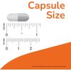 Milk Thistle Extract, Double Strength, 300 mg, 200 Veg Capsules
