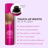 EVERPRO Gray Away Instant Root Cover Up Spray 2.5oz - Dark Blonde