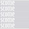 Scotty Tissue 200W5B x 4 Pack
