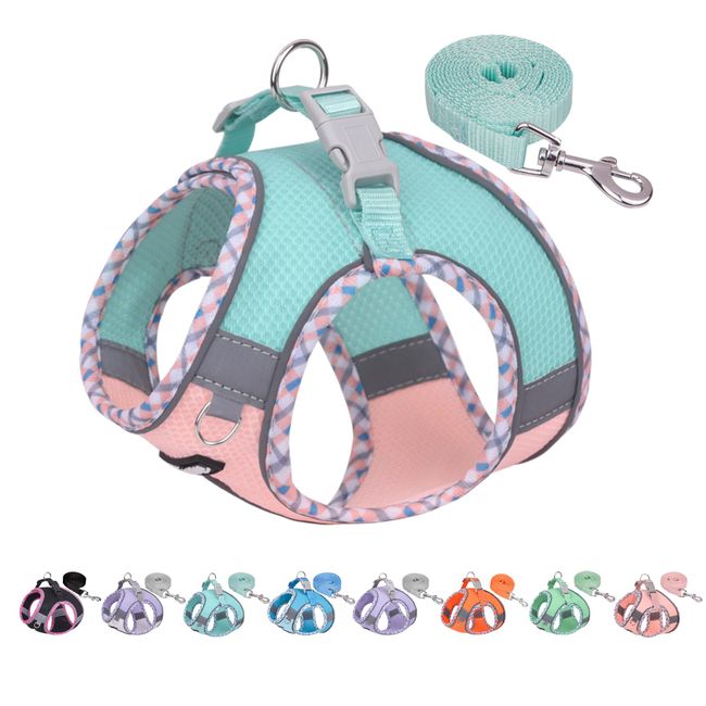 AIITLE Durable Dog Harness and Leash Set for Walking, Step in Vest Harness, Reflective Bands, Soft Breathable Pet Supplies, for Extra Small Dogs and House Cats Turquoise-Pink XXXS