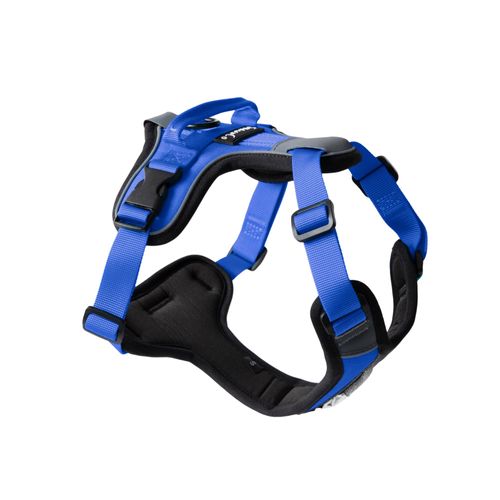 ShawnCo Basecamp Dog Harness, No-Pull Pet Vest with 3 Leash Clips, Padded, Reflective, Lightweight and Adjustable Harness with Handle for Small, Medium and Large Dogs (Electric Blue, M)
