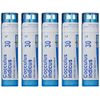 Boiron Cocculus Indicus 30C, Homeopathic Medicine for Motion Sickness (Pack of 5)