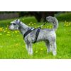 Gencon Airmesh Harness Large Red