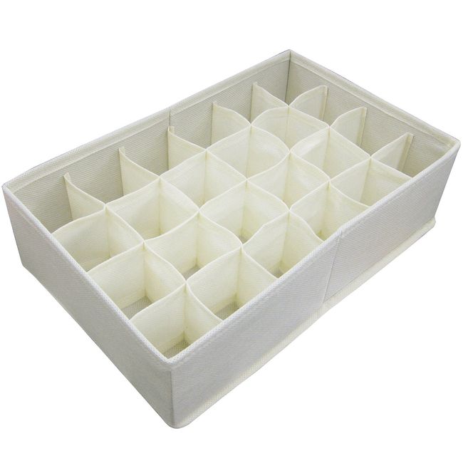 Toyo Case Partitioned Storage Box;