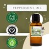 GreenHealth Peppermint Essential Oil (Mentha piperita) - 100% Pure - 10 ml (0.33 fl oz)