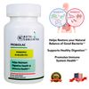 Ultra Strength Probiotics, 19 different Type of Probiotics in Same Capsule.