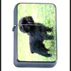 Dog Affenpinscher 01 Oil Lighter