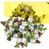 SweetGourmet Premium Chocolate Filled Mints | Arcor Hard Candy | 2 Pound