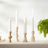 Root Candles 597147 Unscented Timberline Collenette 7-Inch Dinner Candles, 4-Count, White