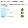 Summer Citrus 50ml Aroma Blend Incent Essential Oil 50ml
