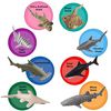 Shark Toy Animals (12 Count)