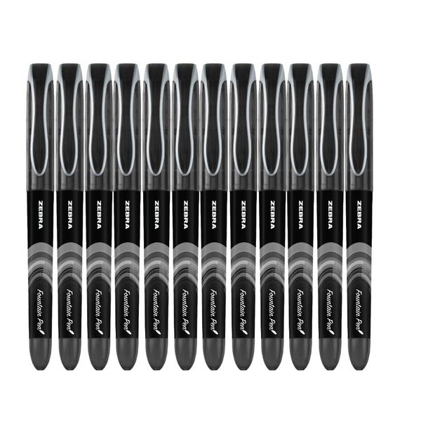 Zebra Pen Fountain Pen, Stainless Steel Nib, Fine Point, 0.6mm, Black Ink, Disposable, 12-Pack