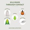 Ready-to-Use Organic Insecticidal Soap - Effective Pest Control Spray, 32oz
