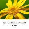 DHU Arnica 30 Globules 10 g