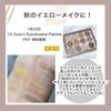 Hexze Eyeshadow Palette, 12 Colors, Pro Eye Palette, Eye Planner Palette, Makeup Palette, High Color, Lasting #01