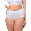 Ulla Popken Women's Office Briefs Waist