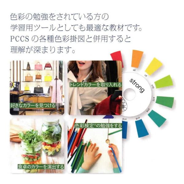 Nihon Shikken PCCS Color Tone Circle Mini 60651