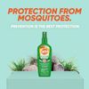 OFF! Deep Woods Off! Insect Repellent Pump 6 oz (Pack of 2)