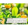 Babo Botanicals Moisturizing Lotion - Face & Body Plant-Based Lotion for Babi...