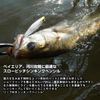 DAIWA Moissanite Galba 73S-LI SEAMOSS Plug