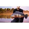Fishing Sim World 2020 - Pro Tour Collectors Edition PC