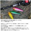 DAIWA Silver Wolf Raft Trick 70F Adel Chart Head Sardine