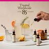 Bach Original Flower Remedies, Pine for Self Respect, Natural Homeopathic Flower Essence, Emotional Wellness and Stress Relief, Holiday Gift for Him or Her, Vegan, 20mL Dropper