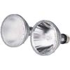 Philips Master Color CDM Lamp with 70W 40 Degree E26 Base
