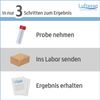 Raumluft Test auf Weichmacher – Staub- oder Materialanalyse im Labor, inkl. Probenahme-Set
