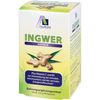 Ginger 500 mg Capsules + Vitamin B1 + C Pack of 90