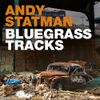 Andy Statman - Bluegrass Tracks [New Vinyl LP]