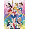 Sailor Moon: Sailor Guardians 1,000 Piece Puzzle